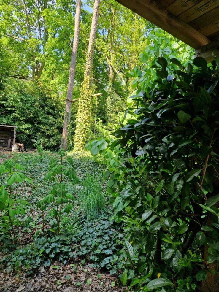 Benb Op De Vleet Vrijstaande Accommodatie Plantage Centrum Ngoại thất bức ảnh
